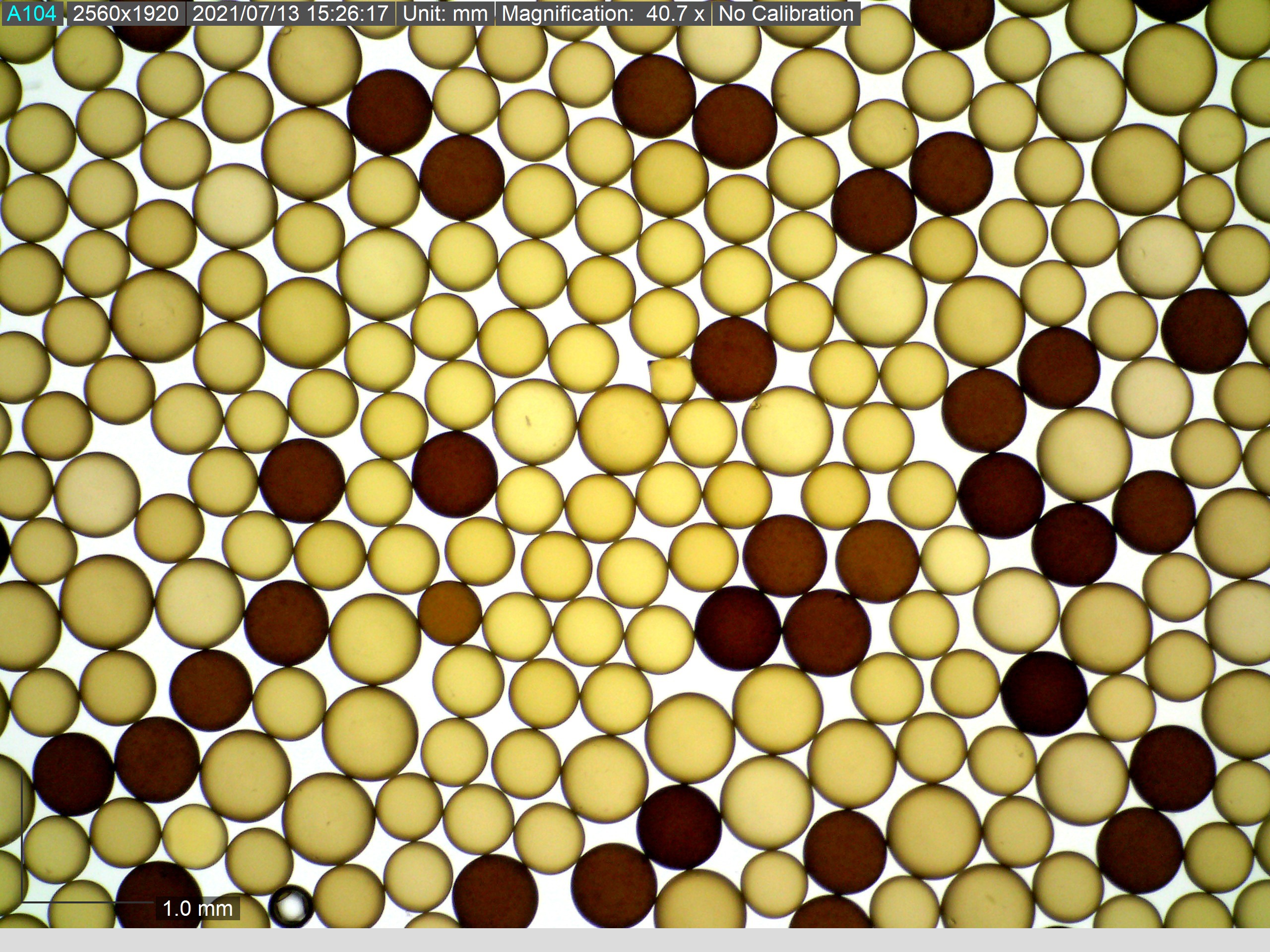 EVOQUA USF NR-30 MEG